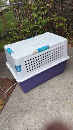 Dog kennel large