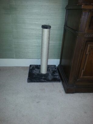 Cat clawer