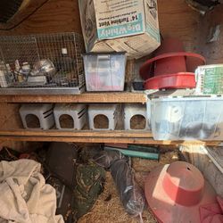 Chicken Coop Items 
