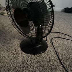 Fan