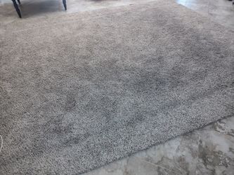 10 x 12 area rug.
