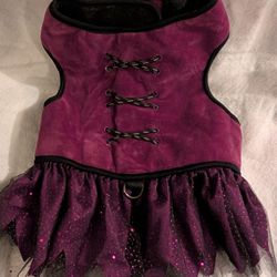 Witch Halloween Costume For Dog