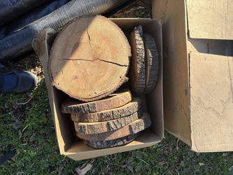 12 Wooden Tree Slices For Parties, Crafts  $10 OBO 