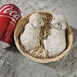Little lambs in basket