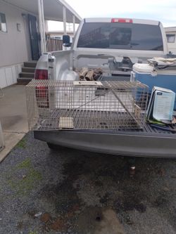 Animal Trap