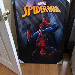 Spiderman Picture 