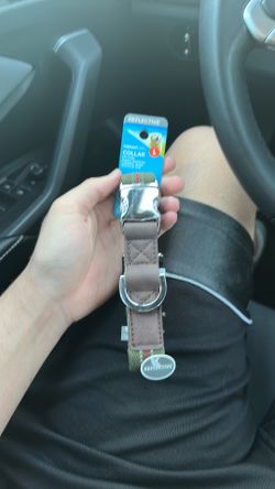 Dog collar