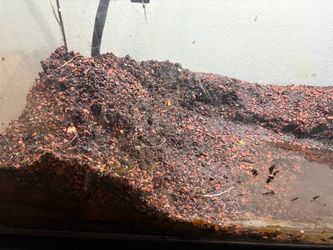 Aquarium soil