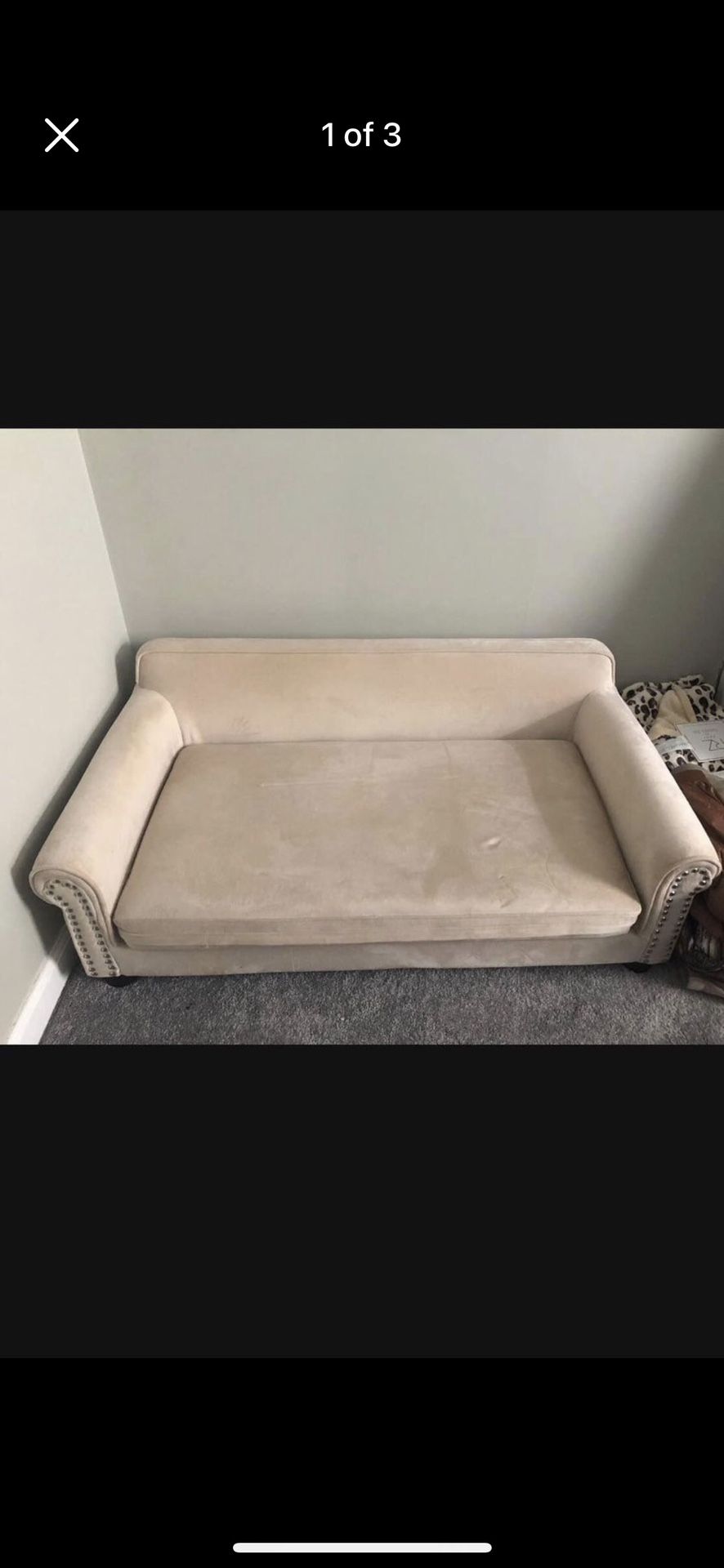 Tan Dog Sofa.