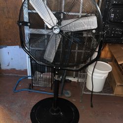 Fan