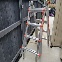 14 Foot Little  Giant Ladder