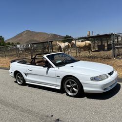 1998 Ford Mustang