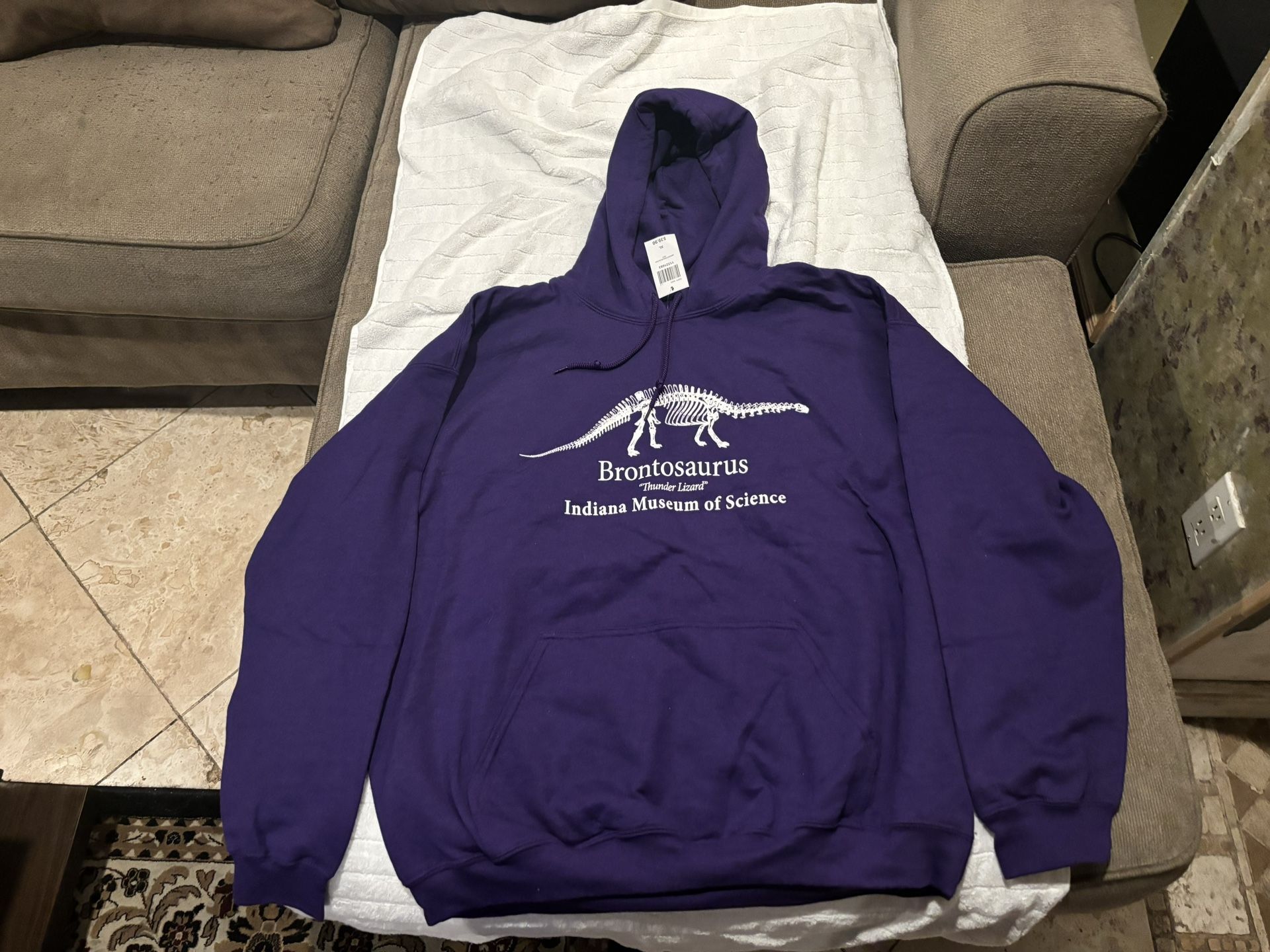Cool Dino Sweatshirt (New)
