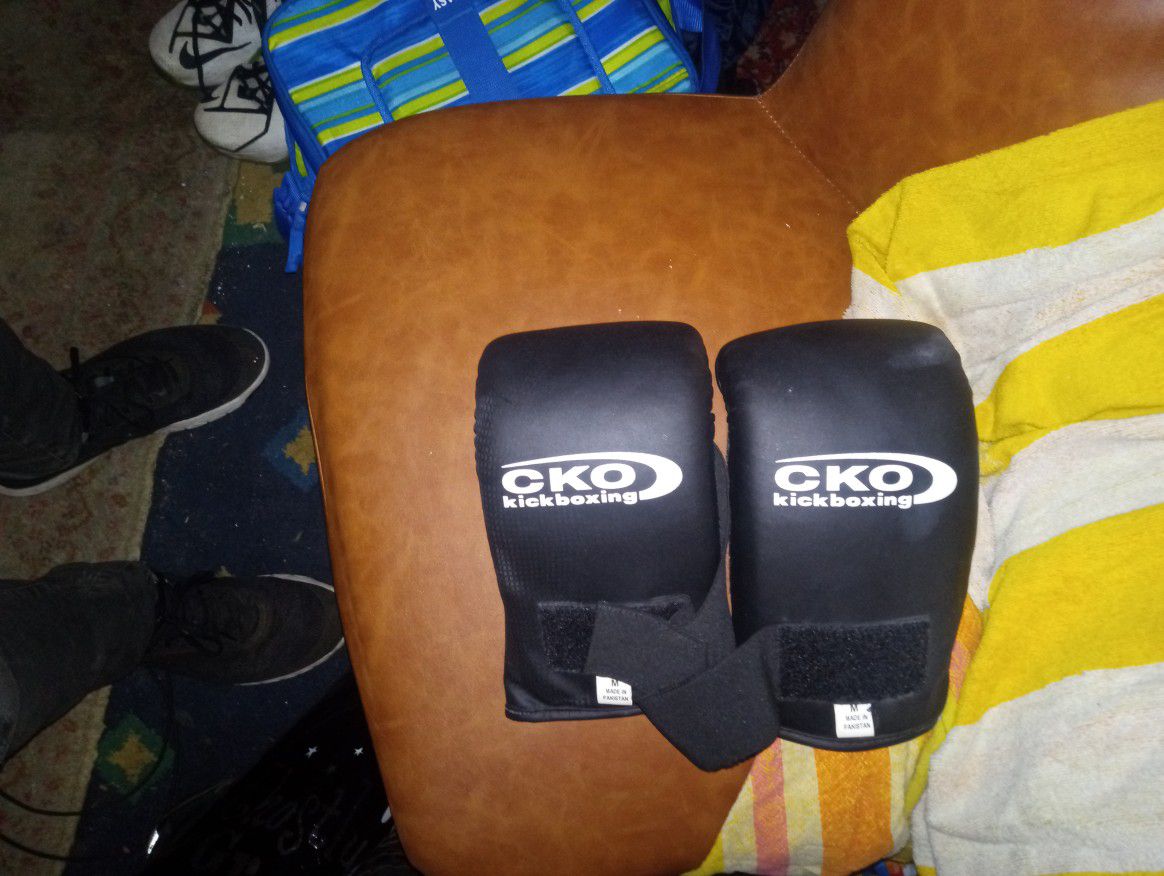 Martial Art / Kickboxing. Gloves And Training Pads 