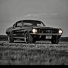 RXT