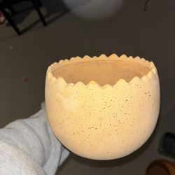 Egg Planter Pot 