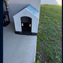 Dog House 
