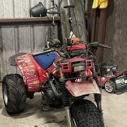 Atc 250sx