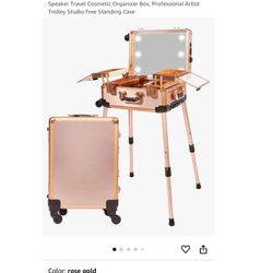 Jula Vance Large makeup Train Case / luggage