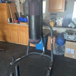 Everlast Boxing Bag
