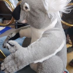 Koala Bear 