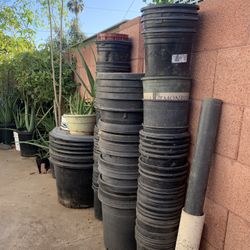 So Many Different Plants Buckets Plantas Plastic Containers Black