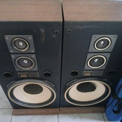 Fiser 15" Home Speakers