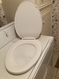 Toilet Seat 