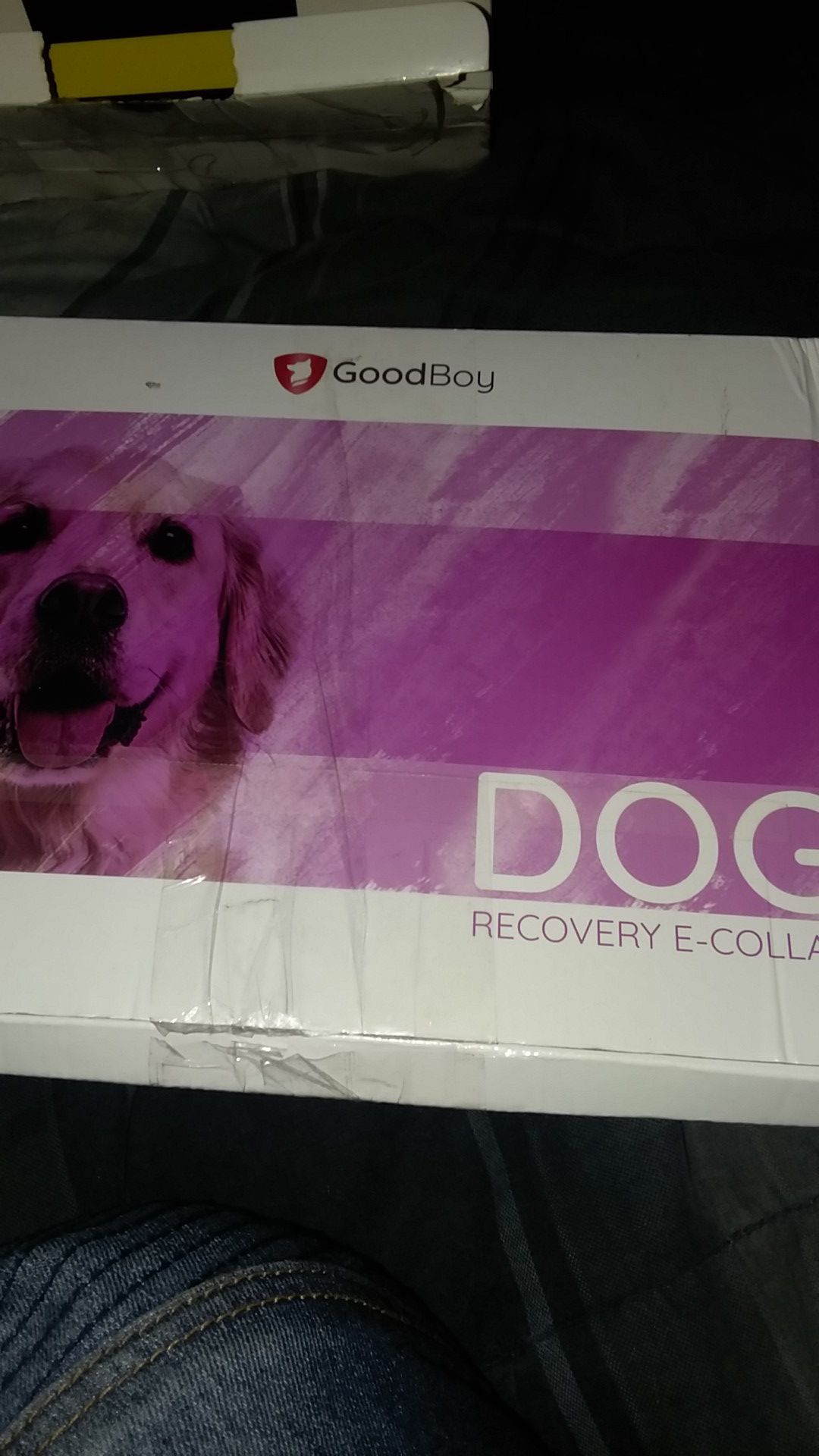 goodboy dog recovery collar