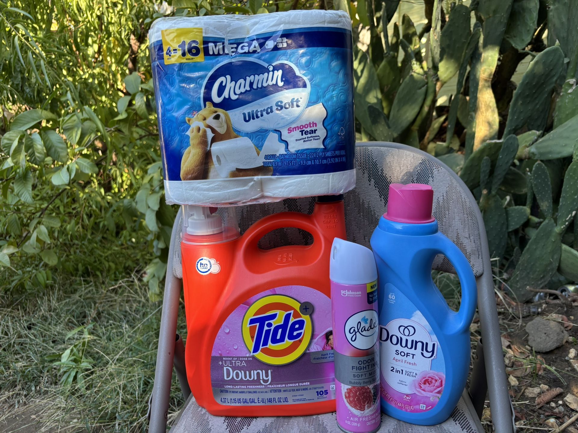 Tide, Charmin, Downy,glade