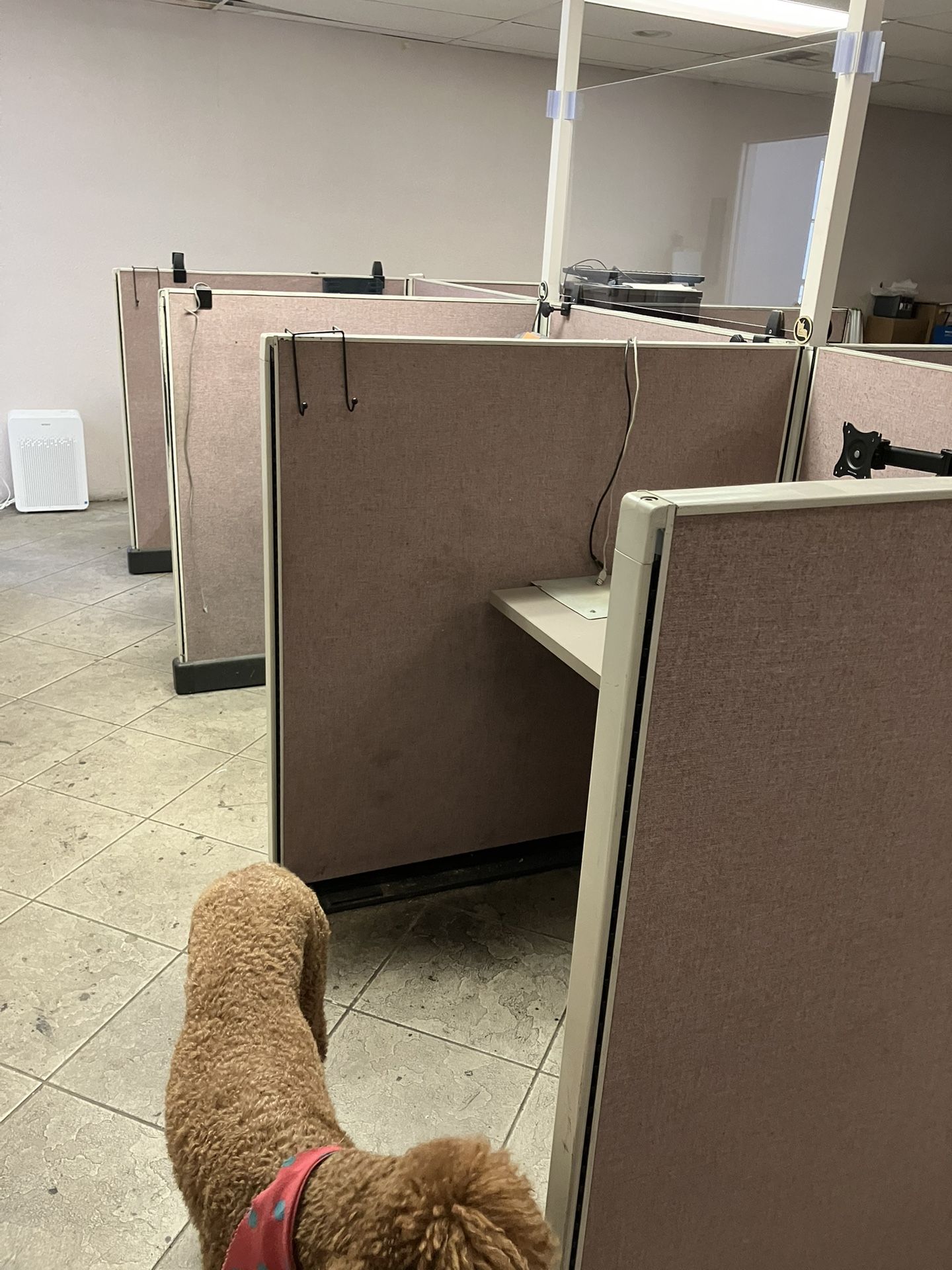 6 Cubicles   