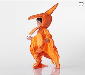 Pottery Barn Pterodactyl Costume