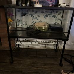 Reptile Aquarium 