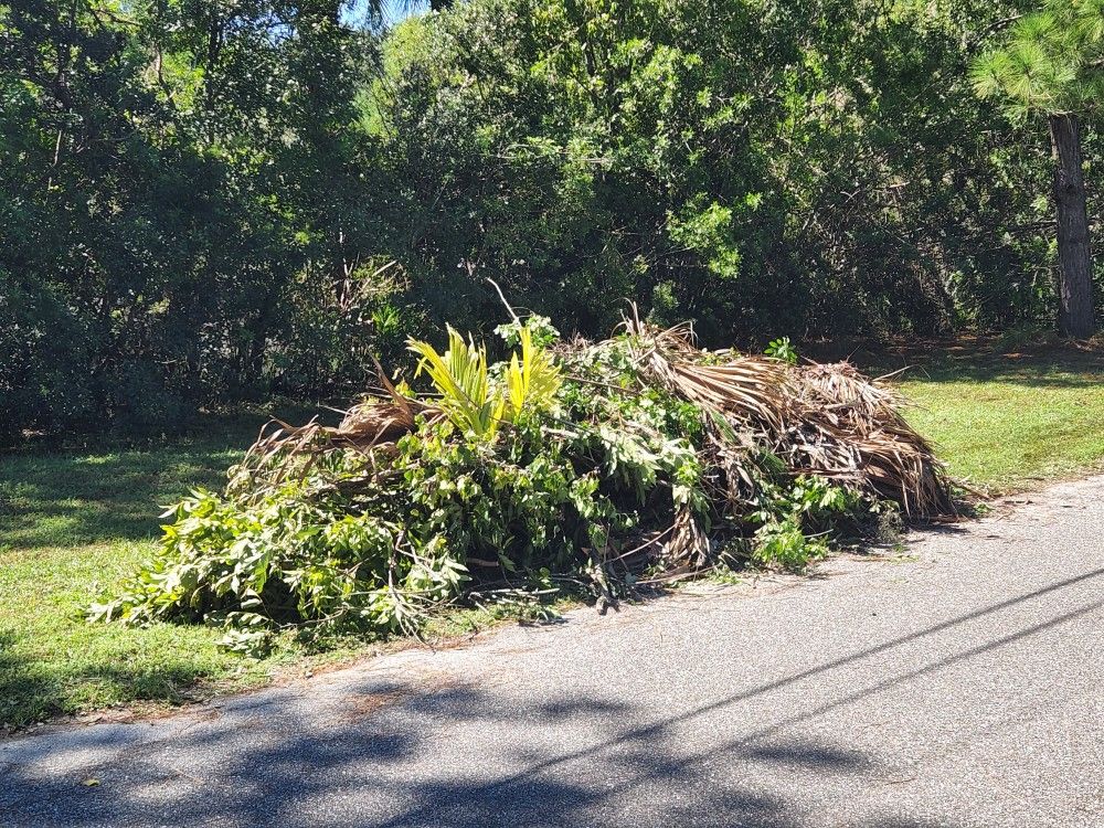 Hurricane Cleanup
