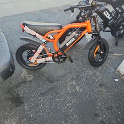 Brand Ne Bear Kid Eletric Bike 15 To 20 Mph