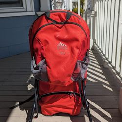 Kelty FC3 Baby/Toddler Hiking Backpack