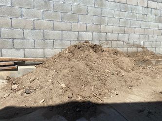 Free dirt in my Garden