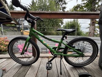 REI Rev 20 Kids bike