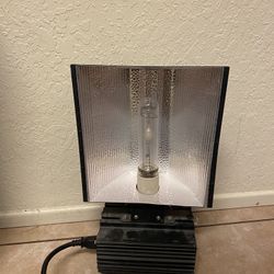Grow Lights