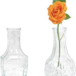 Glass Bud Vase set