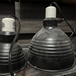 UVB And Basking Dome