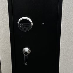 Gun Safe