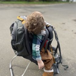 Kelty Hiking Carrier