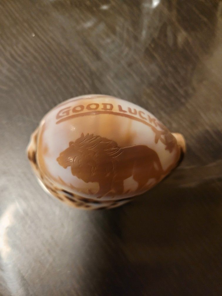 Good Luck Sea Shell