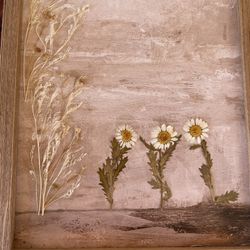 Set Of 2 Dried Flower Pictures