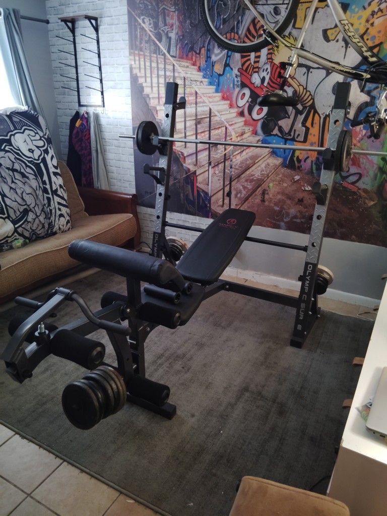 Olympic Surge Weight Bench And Weights