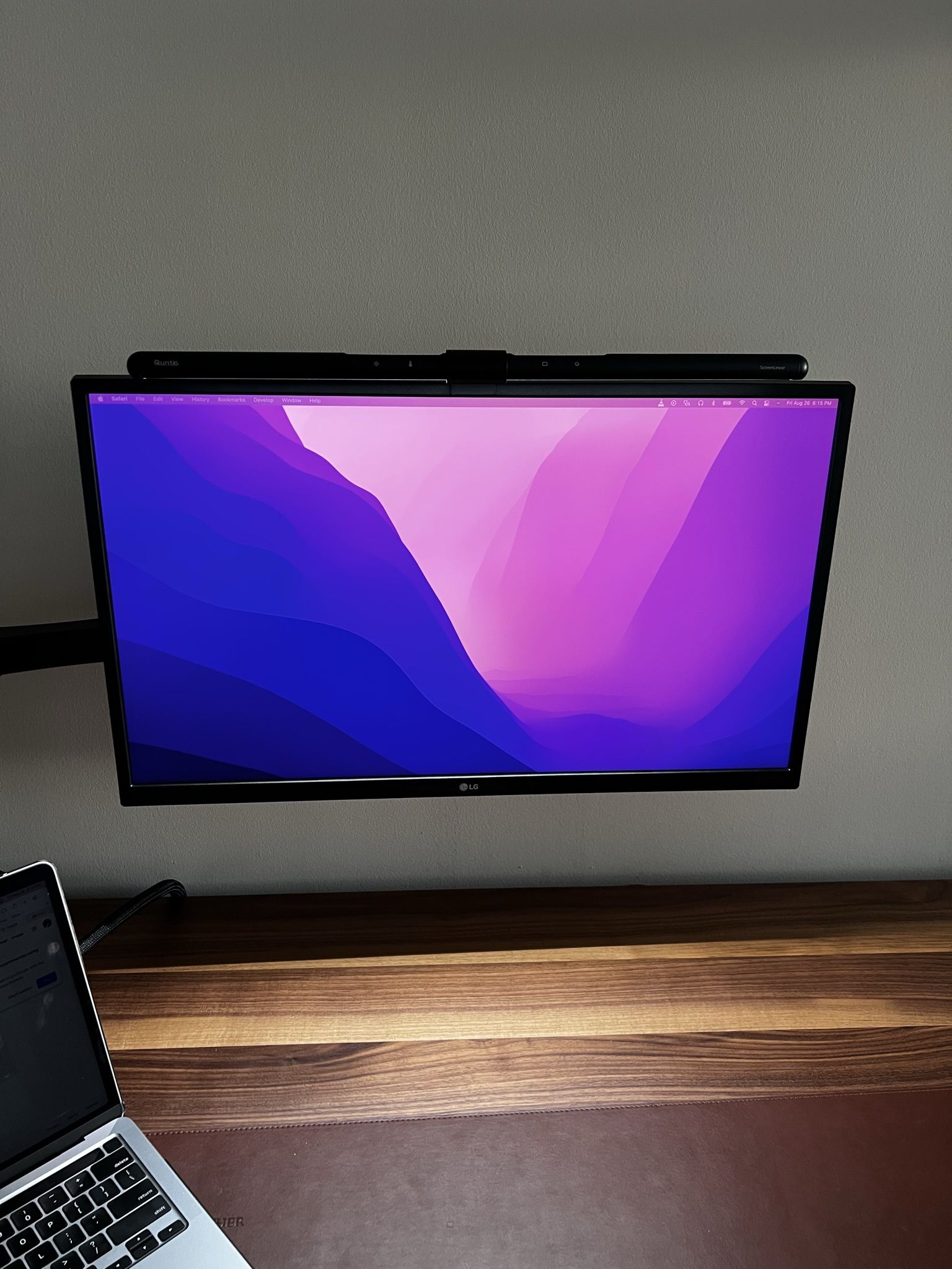 LG 32" UltraFine Computer Monitor with Ergo Mount - UHD 4K IPS Display with HDR 10 Compatibility