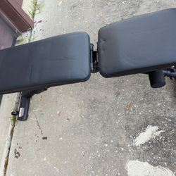 Weights, Bench and Rack