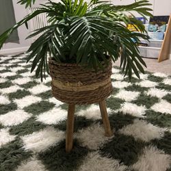 Faux Plant