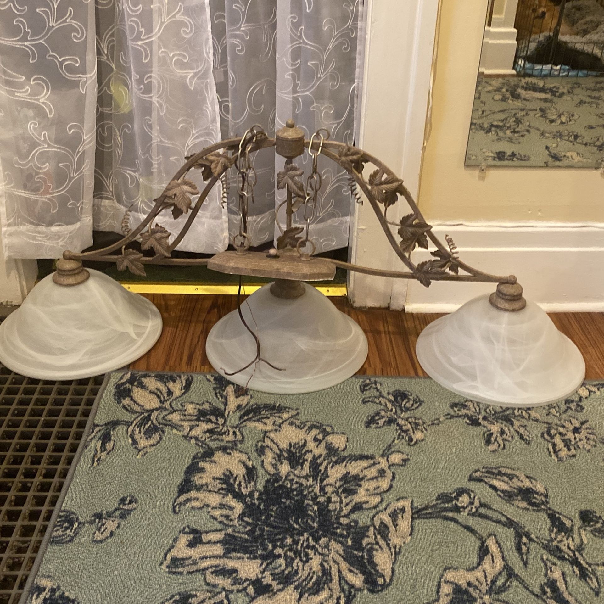 Ceiling light Fixture